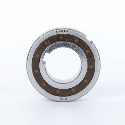 ARS01106 ARS01106