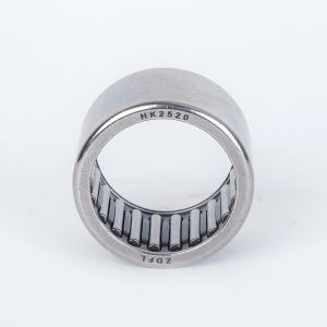 Needle Bearing HK2520