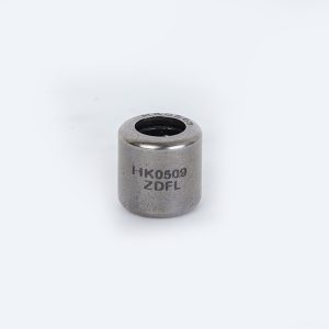 Needle Bearing HK0509