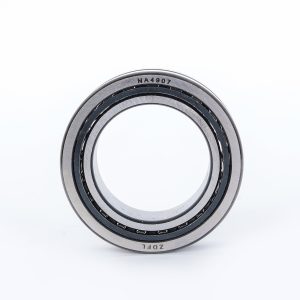 Needle Bearing NA4907